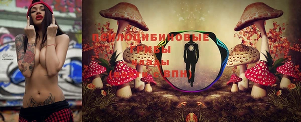 мяу мяу мука Богородск