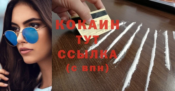прущая мука Богородицк