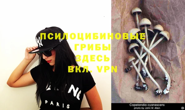 прущая мука Богородицк