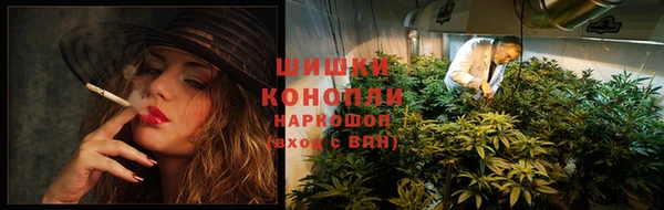прущая мука Богородицк