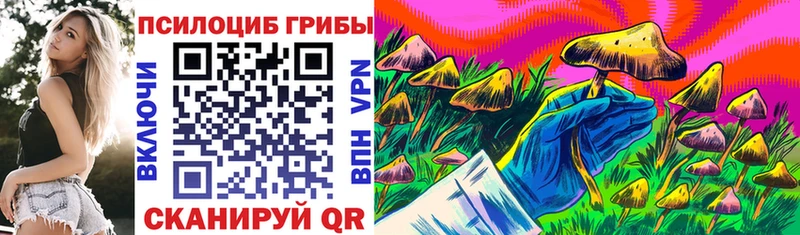 Псилоцибиновые грибы прущие грибы  где найти наркотики  Ульяновск 